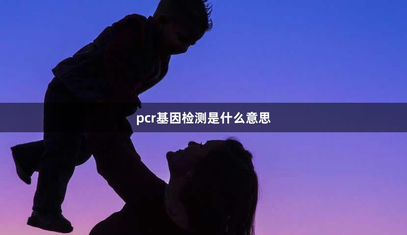 pcr基因检测是什么意思