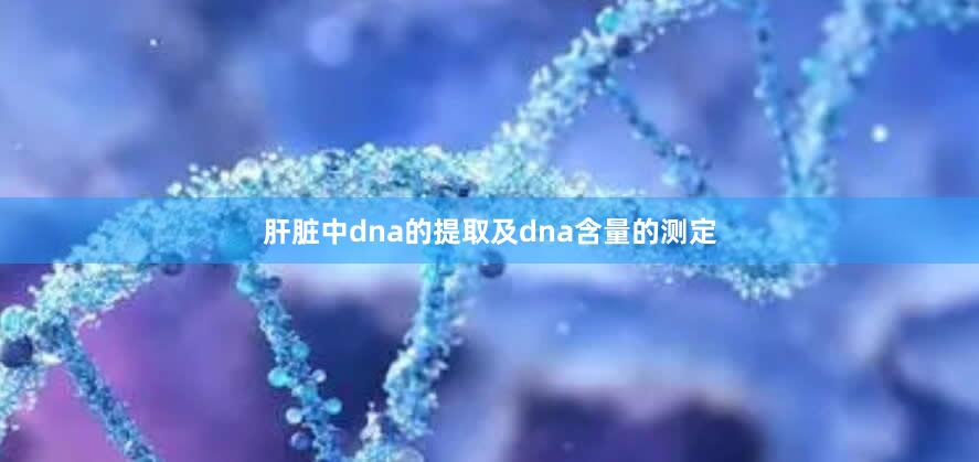 肝脏中dna的提取及dna含量的测定