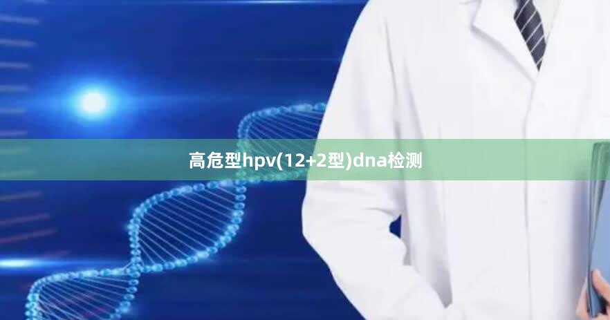 高危型hpv(12+2型)dna检测