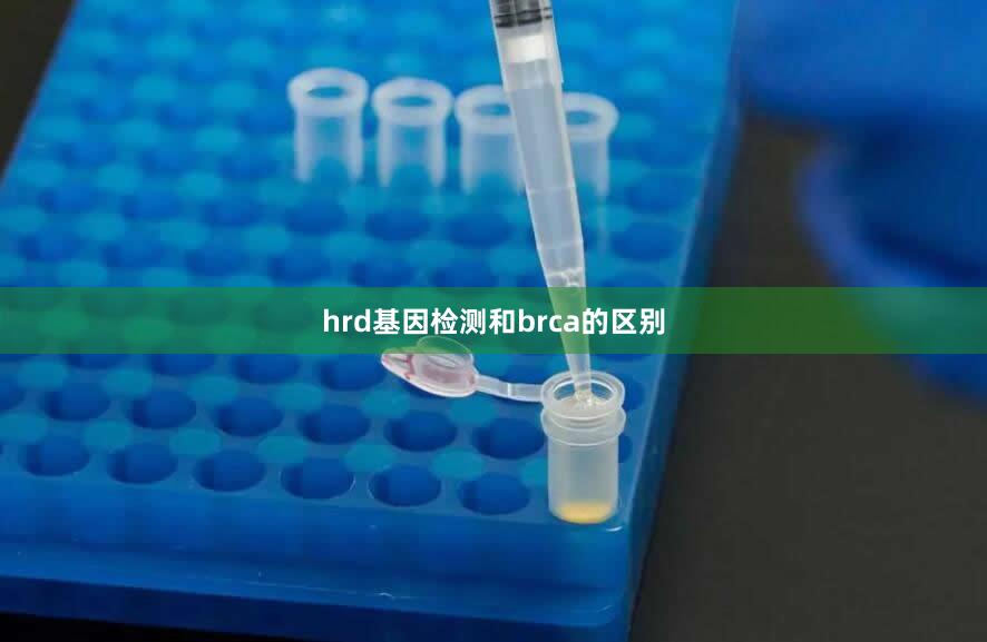 hrd基因检测和brca的区别