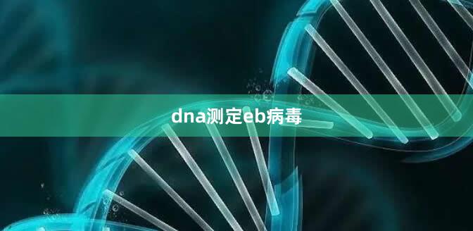 dna测定eb病毒