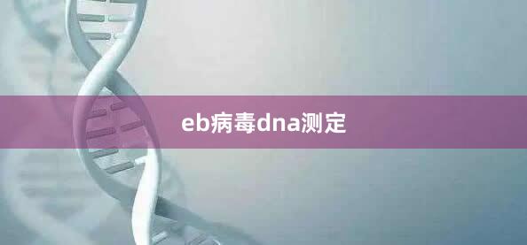 eb病毒dna测定