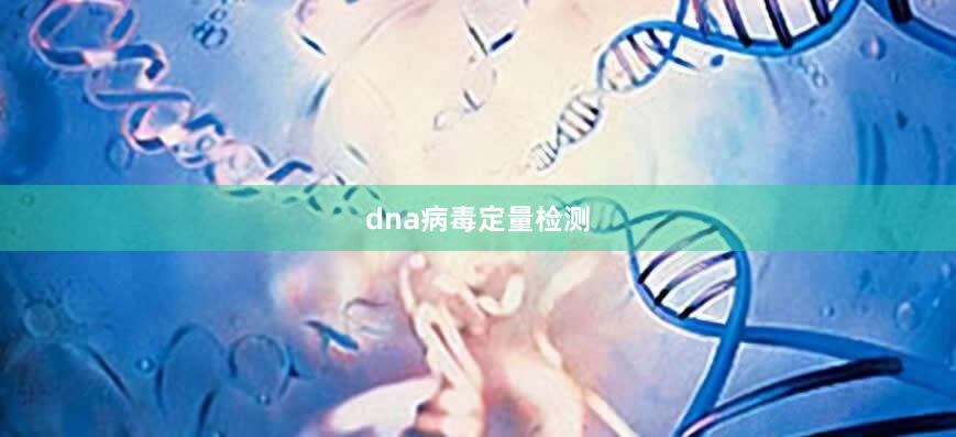 dna病毒定量检测