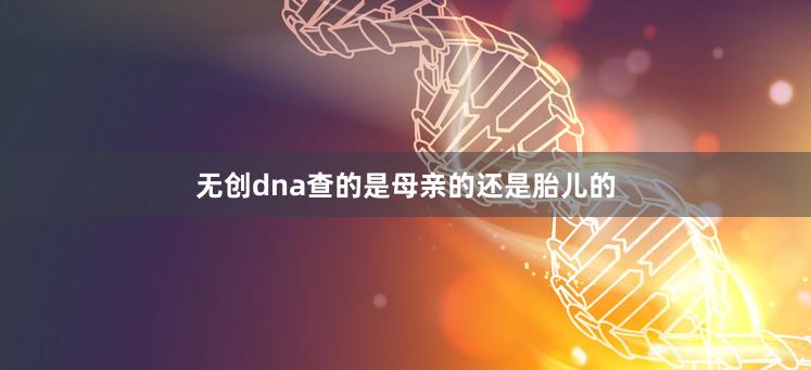 无创dna查的是母亲的还是胎儿的