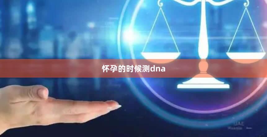 怀孕的时候测dna