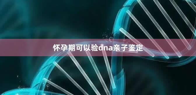 怀孕期可以验dna亲子鉴定