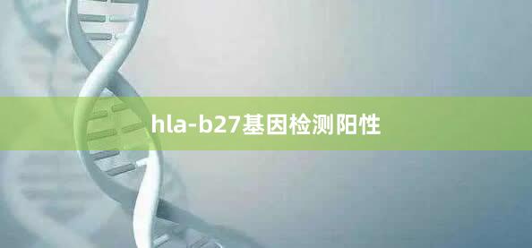 hla-b27基因检测阳性