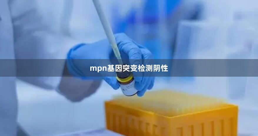 mpn基因突变检测阴性