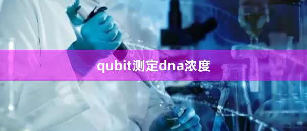 qubit测定dna浓度