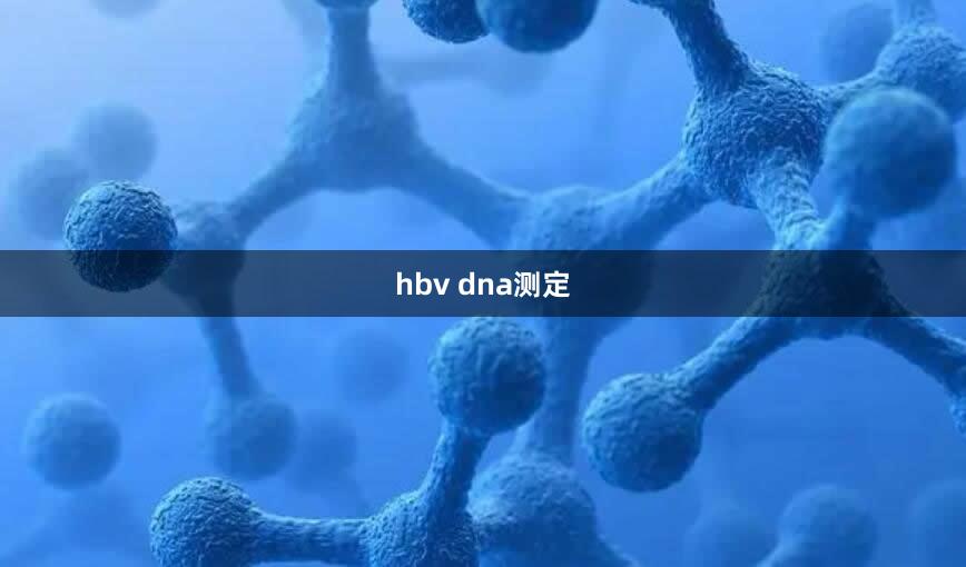 hbv dna测定