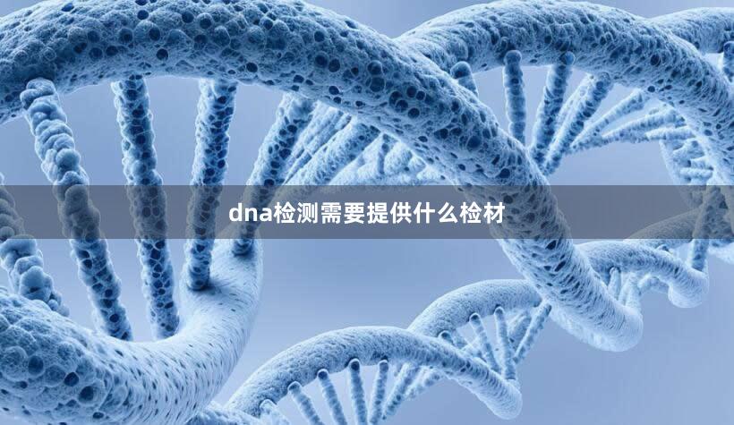 dna检测需要提供什么检材