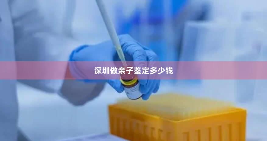 深圳做亲子鉴定多少钱