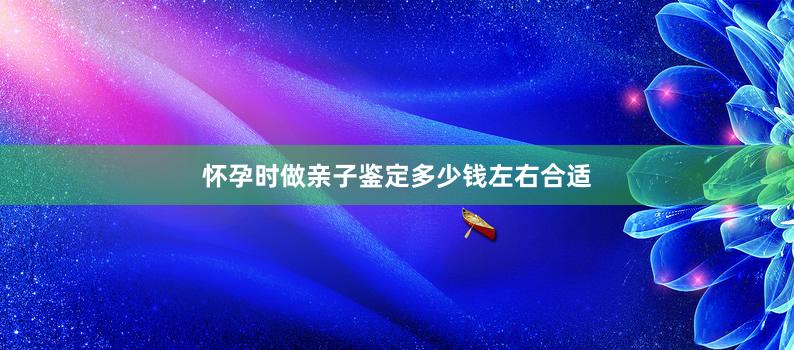 怀孕时做亲子鉴定多少钱左右合适