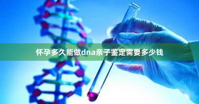 怀孕多久能做dna亲子鉴定需要多少钱