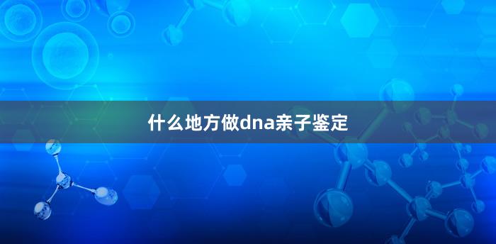 什么地方做dna亲子鉴定