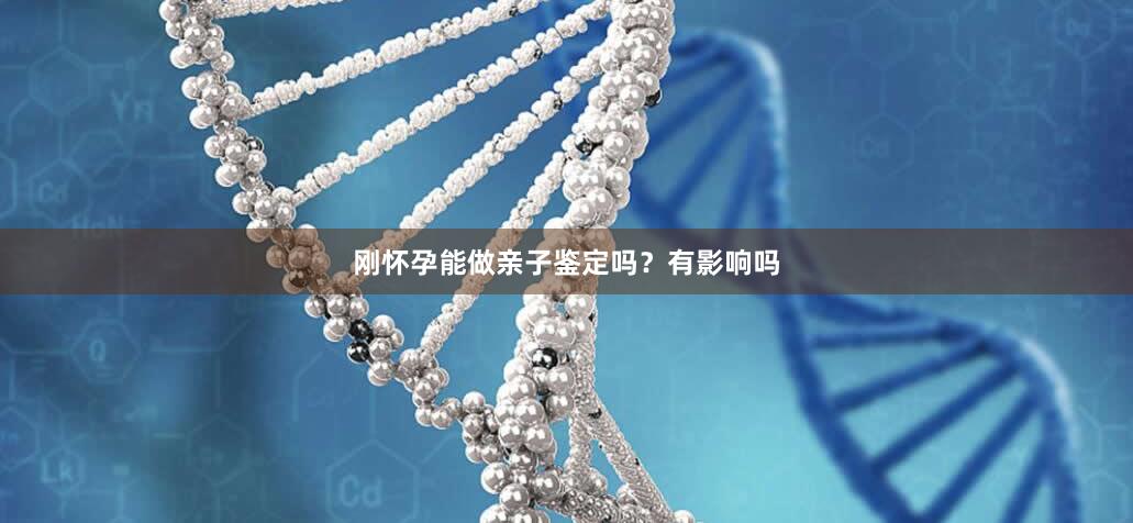 刚怀孕能做亲子鉴定吗？有影响吗