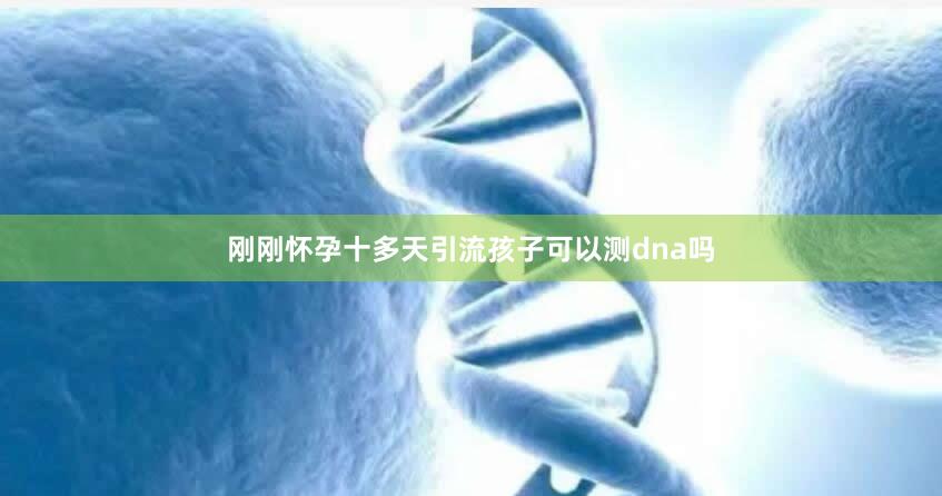 刚刚怀孕十多天引流孩子可以测dna吗