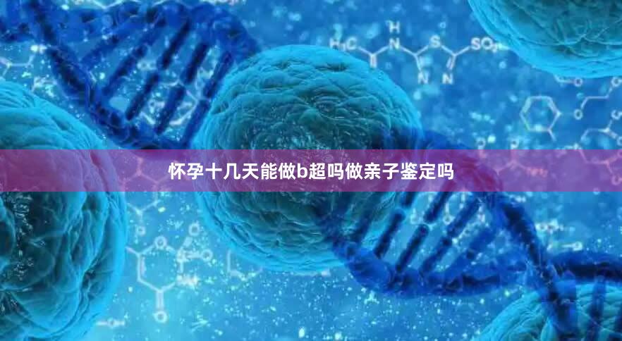 怀孕十几天能做b超吗做亲子鉴定吗