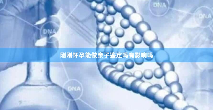 刚刚怀孕能做亲子鉴定吗有影响吗