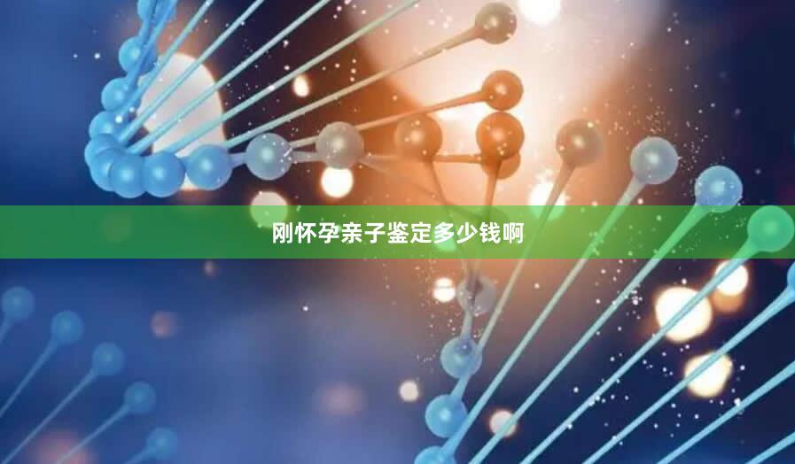 刚怀孕亲子鉴定多少钱啊