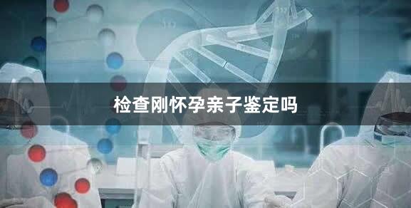 检查刚怀孕亲子鉴定吗