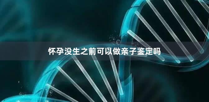 怀孕没生之前可以做亲子鉴定吗