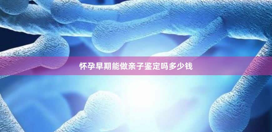 怀孕早期能做亲子鉴定吗多少钱