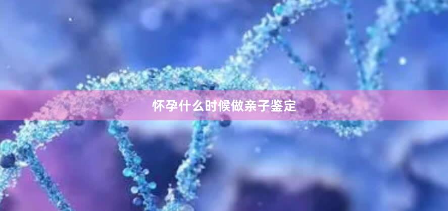 怀孕什么时候做亲子鉴定