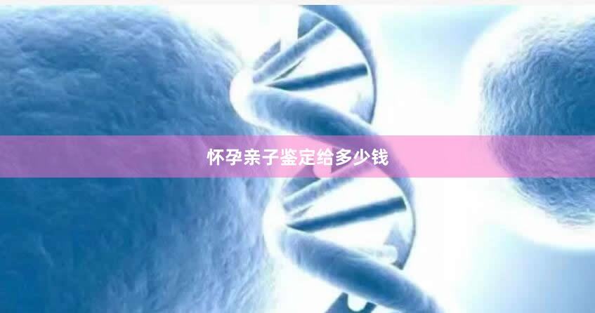 怀孕亲子鉴定给多少钱