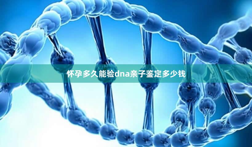 怀孕多久能验dna亲子鉴定多少钱