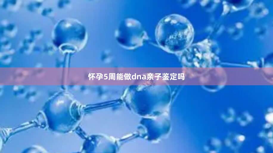 怀孕5周能做dna亲子鉴定吗