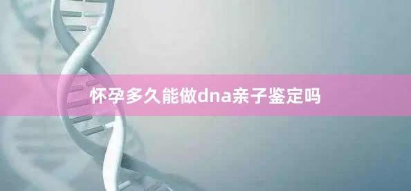 怀孕多久能做dna亲子鉴定吗