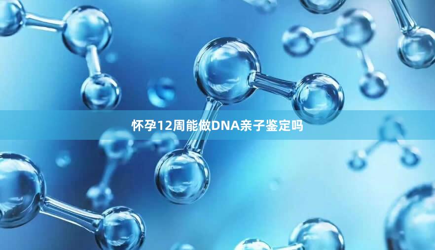 怀孕12周能做DNA亲子鉴定吗