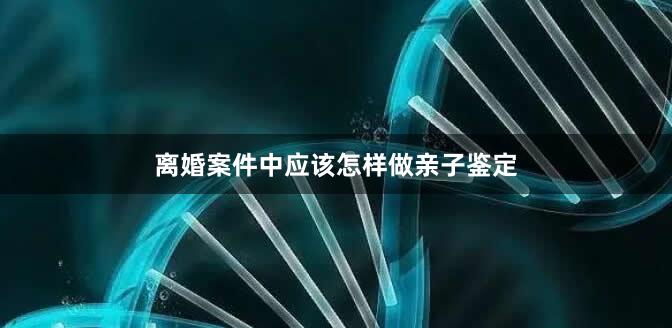 离婚案件中应该怎样做亲子鉴定