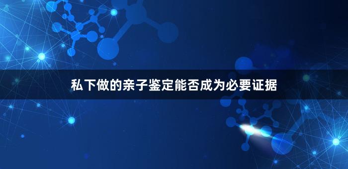 私下做的亲子鉴定能否成为必要证据