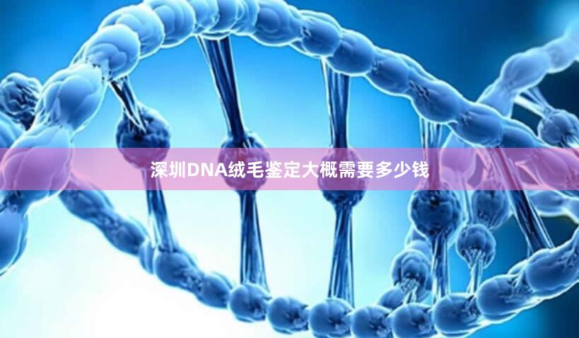 深圳DNA绒毛鉴定大概需要多少钱