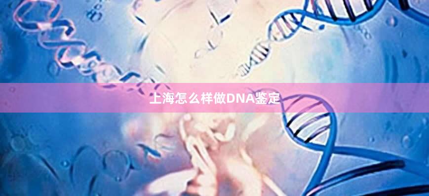 上海怎么样做DNA鉴定