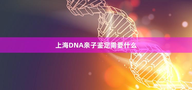 上海DNA亲子鉴定需要什么