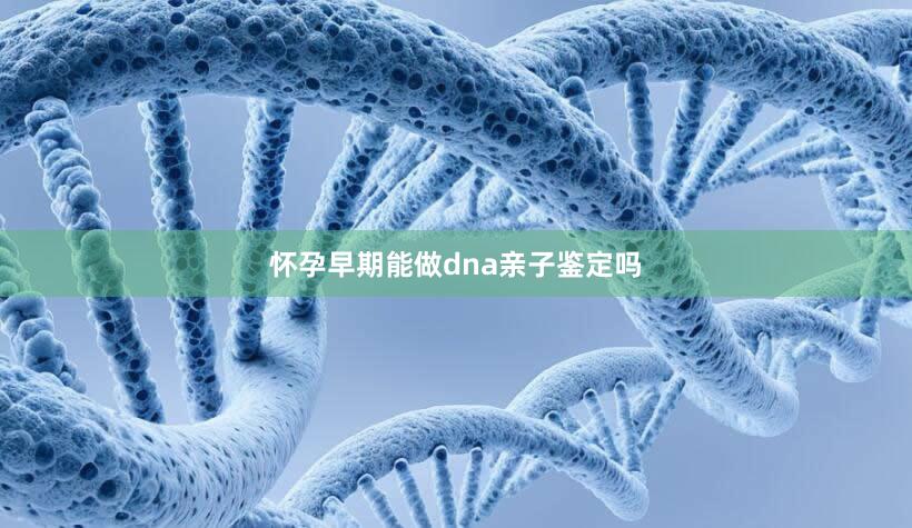 怀孕早期能做dna亲子鉴定吗