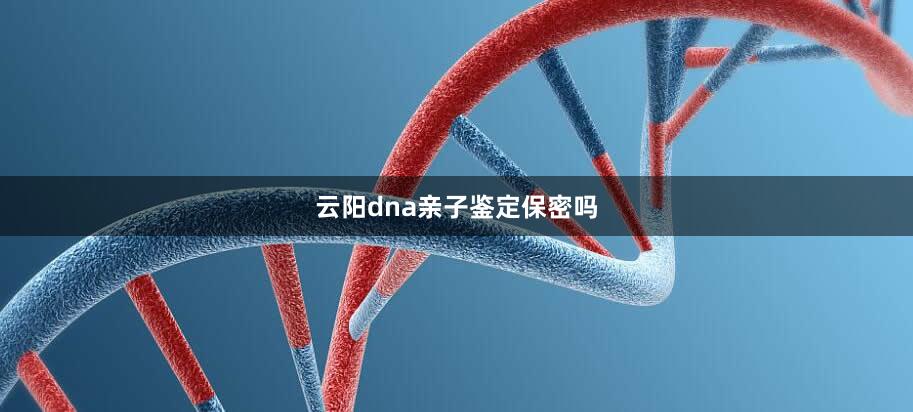 云阳dna亲子鉴定保密吗