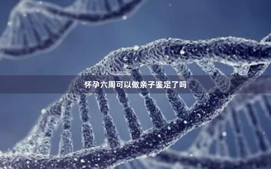 怀孕六周可以做亲子鉴定了吗