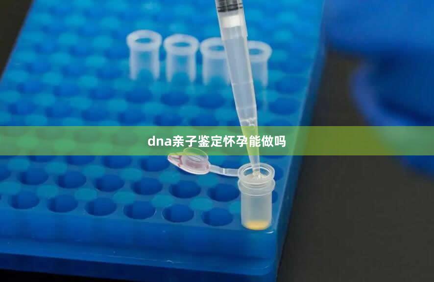 dna亲子鉴定怀孕能做吗