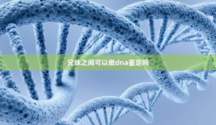 兄妹之间可以做dna鉴定吗