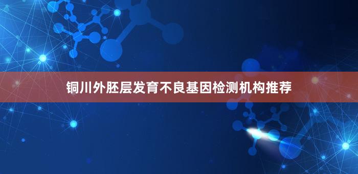 铜川外胚层发育不良基因检测机构推荐