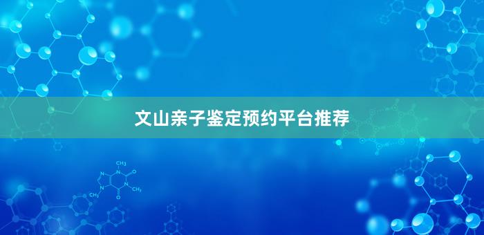 文山亲子鉴定预约平台推荐