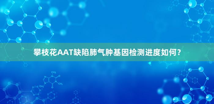 攀枝花AAT缺陷肺气肿基因检测进度如何？