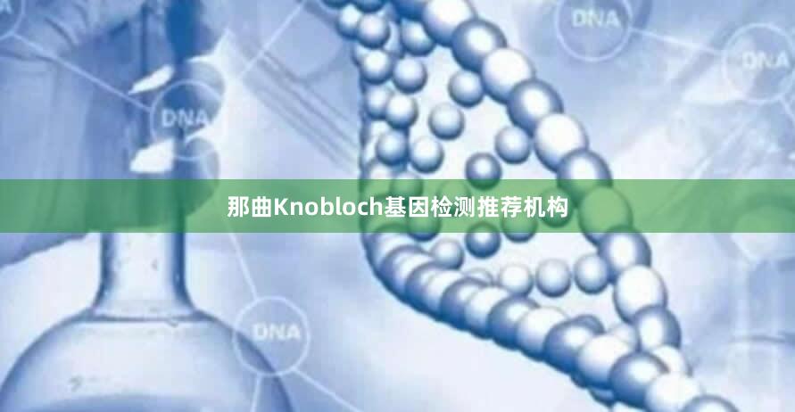 那曲Knobloch基因检测推荐机构