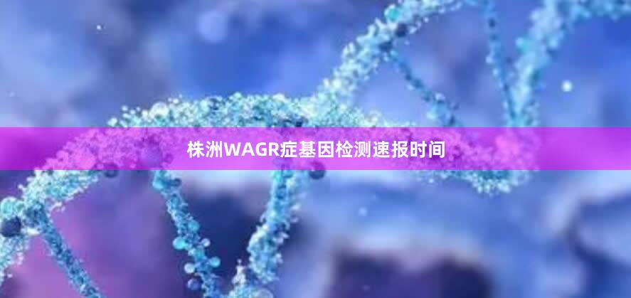 株洲WAGR症基因检测速报时间