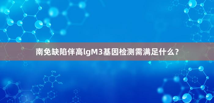 南免缺陷伴高lgM3基因检测需满足什么？