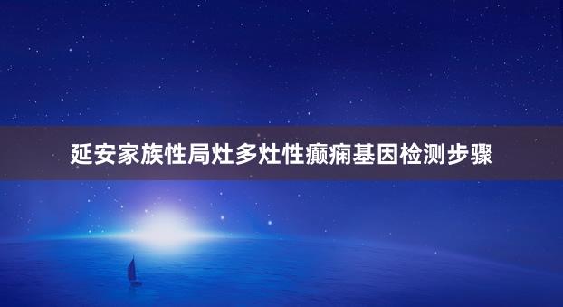 延安家族性局灶多灶性癫痫基因检测步骤